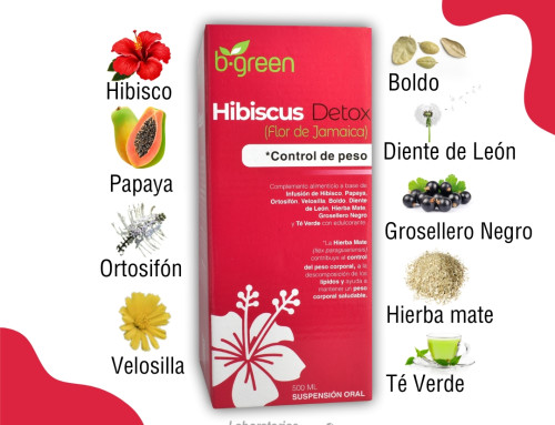 Hibiscus y sus componentes