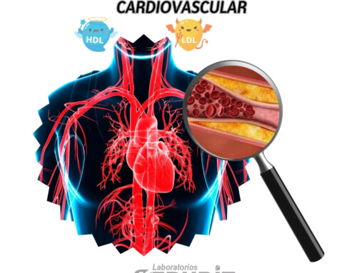 Colesterol y los riesgos cardiovasculares