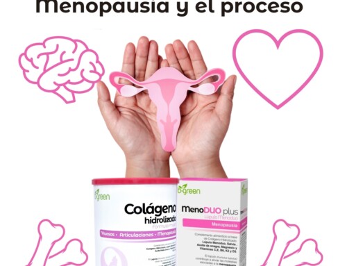 Menopausia y el proceso