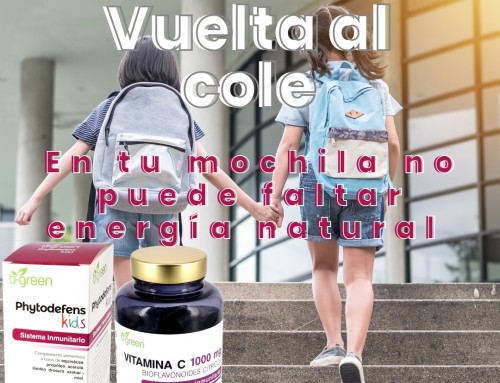 Vuelta al cole y a la rutina 