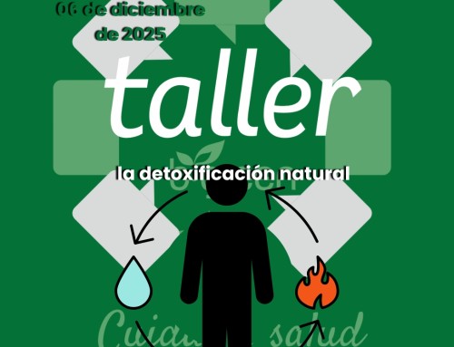 Taller b·green 06.12.2025. La detoxificación natural