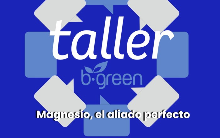 Magnesio