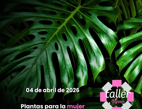 Plantas para la mujer: beneficios y bienestar natural