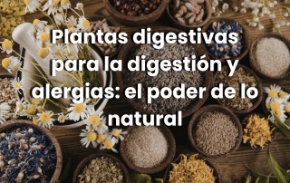 Plantas digestivas para la digestión y alergias: el poder de lo natural
