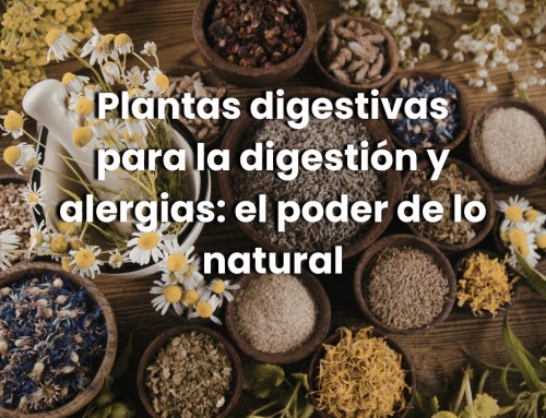 Plantas digestivas para la digestión y alergias: el poder de lo natural
