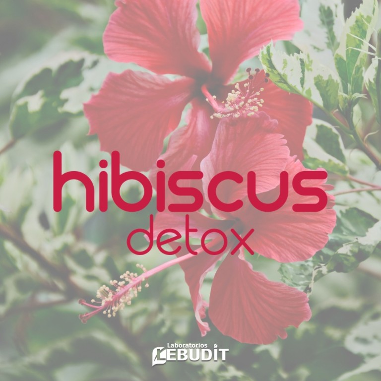 Hibiscus Detox de b·green en “El Termómetro” de Informa Radio 05.05.2026